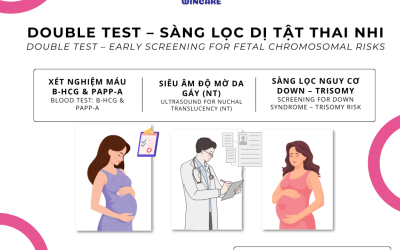 Double Test trong 3 tháng đầu thai kỳ là gì?